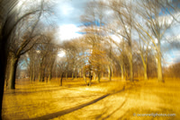 Intentional Camera Movement Images-photos