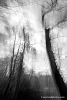 750_6230