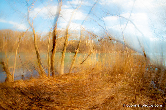 750_6261