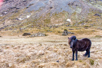 Iceland-232