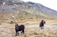 Iceland-237